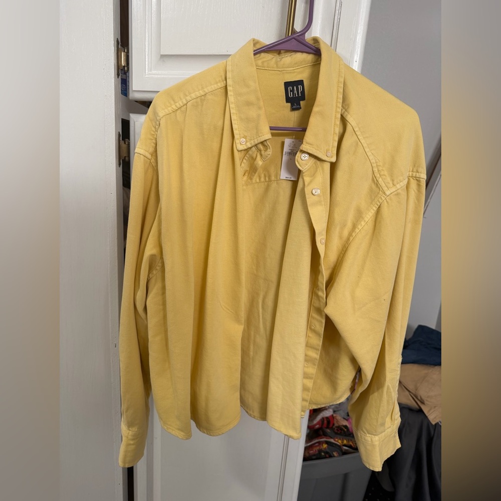 Button Down Shirt